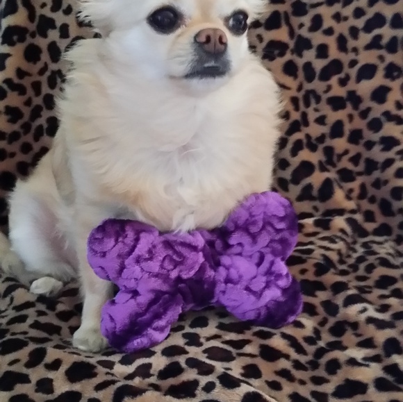 Meet your Posher, Linda - Picture 1 of 1